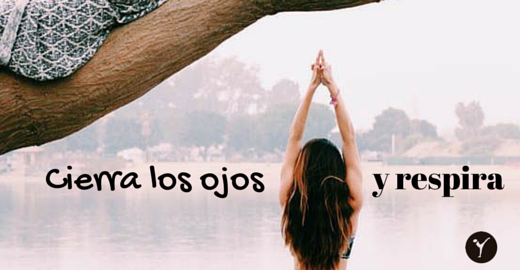 6 Frases que te delatan como YOGUI