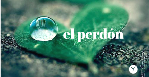 10 pasos para perdonar a alguien