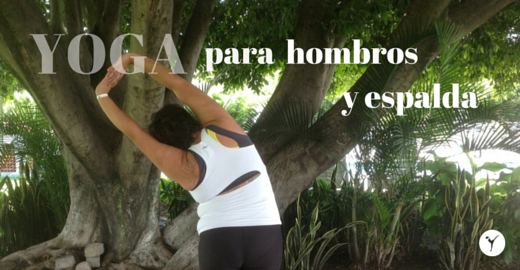 BASICOS: hombros y espalda