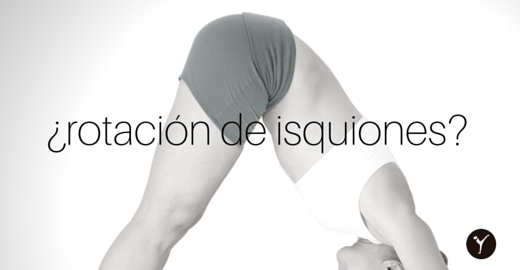Guía BASICA de anatomía I