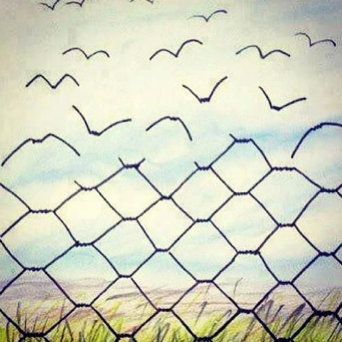 Libertad