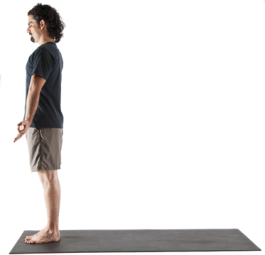 1 Tadasana