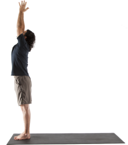 2. urdva hastasana