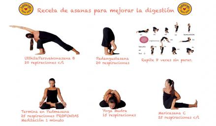 digestión