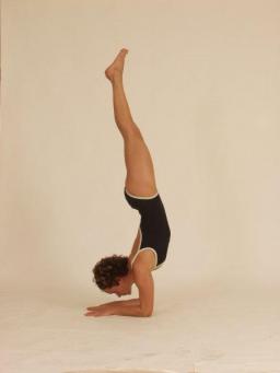 pincha mayurasana