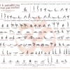 Poster Ashtanga Vinyasa Yoga -Sharath Jois