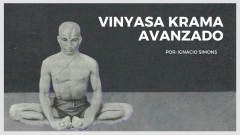 Diplomado Avanzado en Vinyasa Krama Yoga Image Not Found